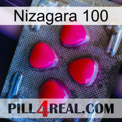 Nizagara 100 13